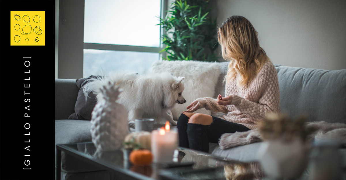 Vivere con gli animali in casa: è anche questione di Pet Design - Giallo Pastello