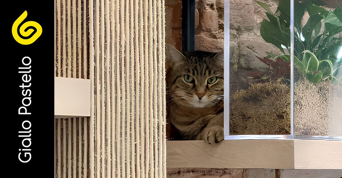 Percorso per gatti: SymbioCat Design, gli arredi su misura dove design e benessere si incontrano - Giallo Pastello