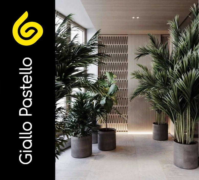 Piante in vaso per arredare terrazzo appartamento e balcone - Giallo Pastello Interior Design Brescia